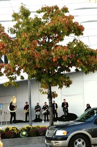 People on car by tree