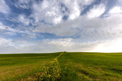 Scenic view of landscape against sky