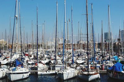 Sailboats moored on harbor against sky