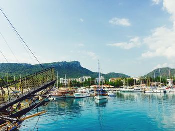 Sailboats moored in harbor against sky