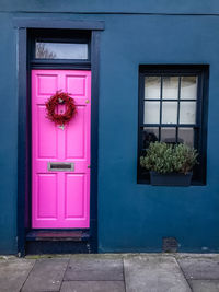 Potted plants on window of building