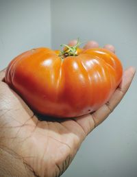 Close-up of hand holding tomato