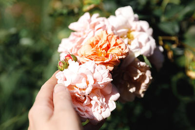 Close-up of hand holding flower