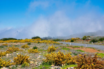 Scenic view of landscape against sky