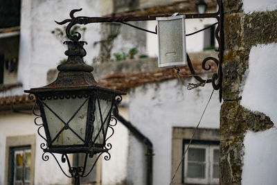 Close-up of lantern hanging on tree