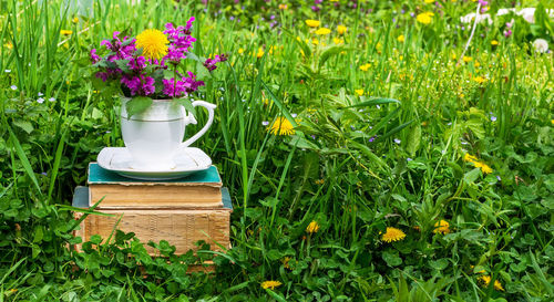 A white teacup with a bouquet of wildflowers on a stack of old books in a meadow with green grass