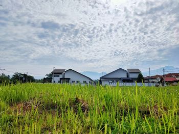 Houses on field against sky