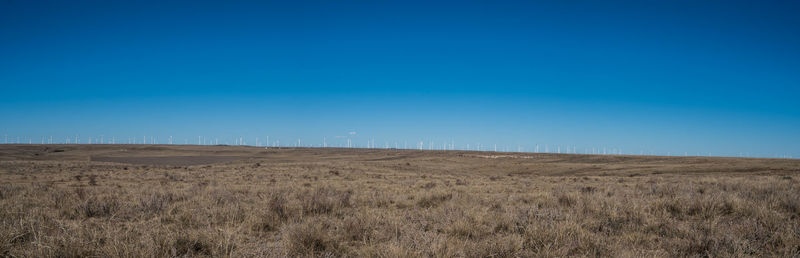 Scenic view of field against clear blue sky