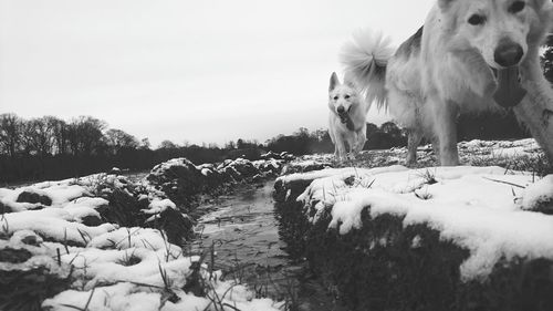 View of snowy field