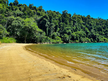 Scenic view of beach against blue sky