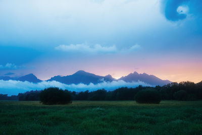 Scenic view of field against sky during sunset