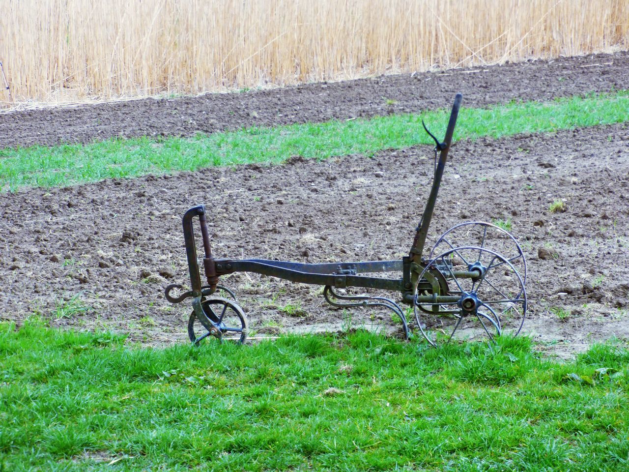 grass, plant, field, day, nature, no people, green, land, lawn, transportation, bicycle, soil, growth, vehicle, outdoors, mode of transportation, high angle view, sunlight, absence, landscape, land vehicle, tranquility