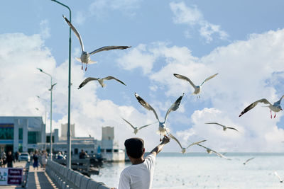 Rear view of man with seagulls flying against sky