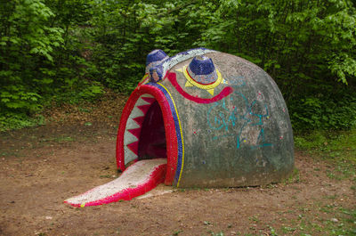 View of tree in forest