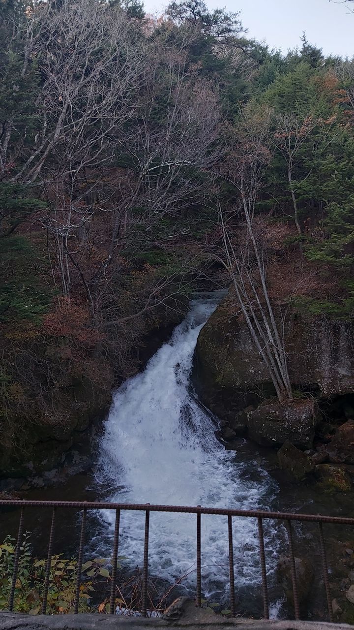 SCENIC VIEW OF WATERFALL ON FOREST