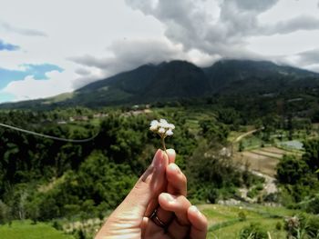 Cropped hand holding flower against mountains
