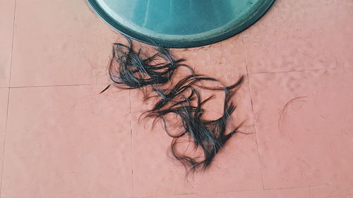 High angle view of hairs on floor at barber shop