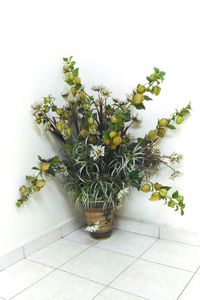 Close-up of plant on table against wall