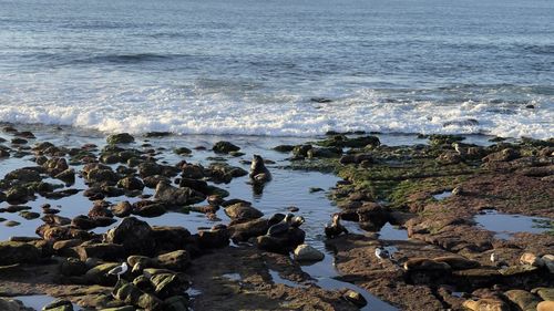View of rocks on beach