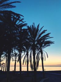 Silhouette palm trees against sky during sunset