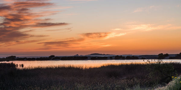 Scenic view of field against sky during sunset