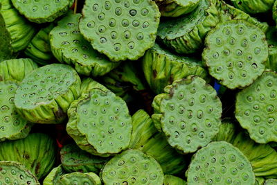 Full frame shot of green fruits in market