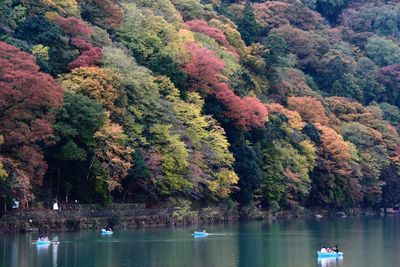 Scenic view of calm lake