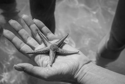 Midsection of person holding sea