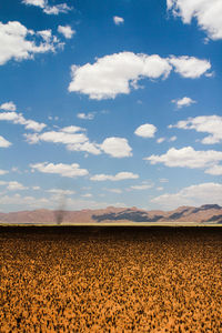 Scenic view of landscape against cloudy sky
