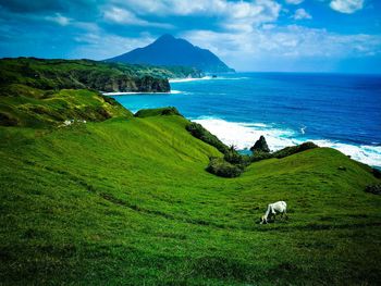 Scenic view of sea shore