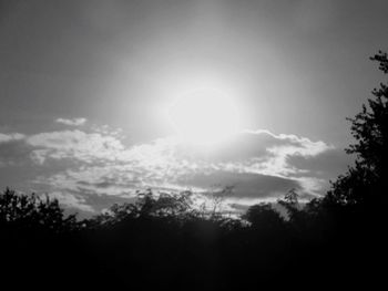 Low angle view of trees against sky