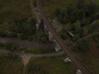 High angle view of railroad tracks amidst trees in forest