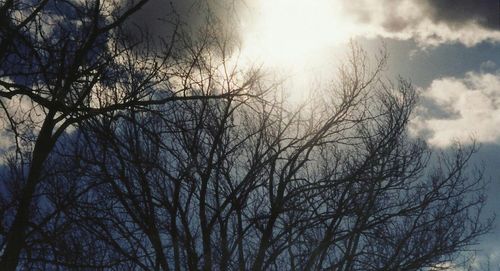 Low angle view of bare tree against sky