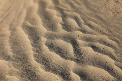 Full frame shot of sand at sahara desert