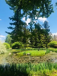 Scenic view of farm against sky