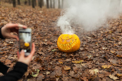 Cropped image of hands photographing jack o lantern through mobile phone