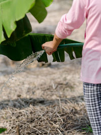 Midsection of woman watering plants