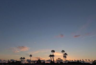 Silhouette of palm trees against sky during sunset