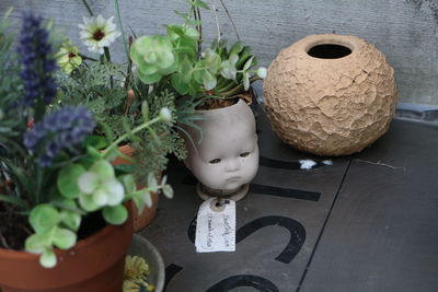 Close-up of potted plant on table