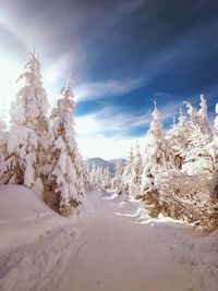 Scenic view of snow covered land against sky