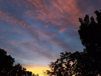 Low angle view of trees against cloudy sky