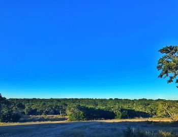 Scenic view of farm against clear blue sky