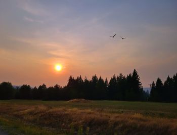 Scenic view of sunset