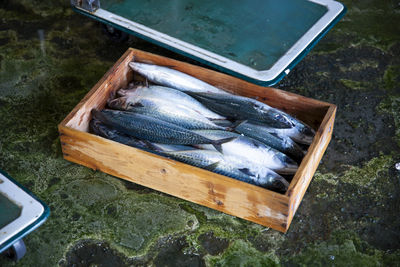 High angle view of fish on barbecue grill