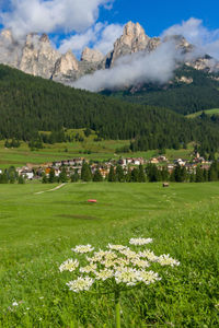 Scenic view of grassy field against cloudy sky