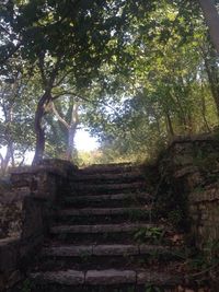 Low angle view of staircase