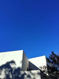 Low angle view of tree against blue sky