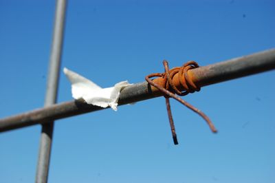 Low angle view of barbed wire against clear blue sky