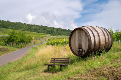 Ediger-eller, moselle, germany