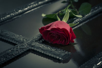 High angle view of rose bouquet